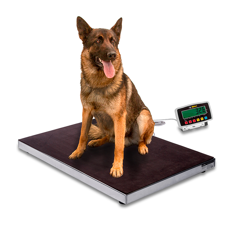 Plataforma Veterinaria 200 kg BAVET-200 RHINO - Imagen 2