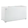 Congelador CCH-15 horizontal para negocios